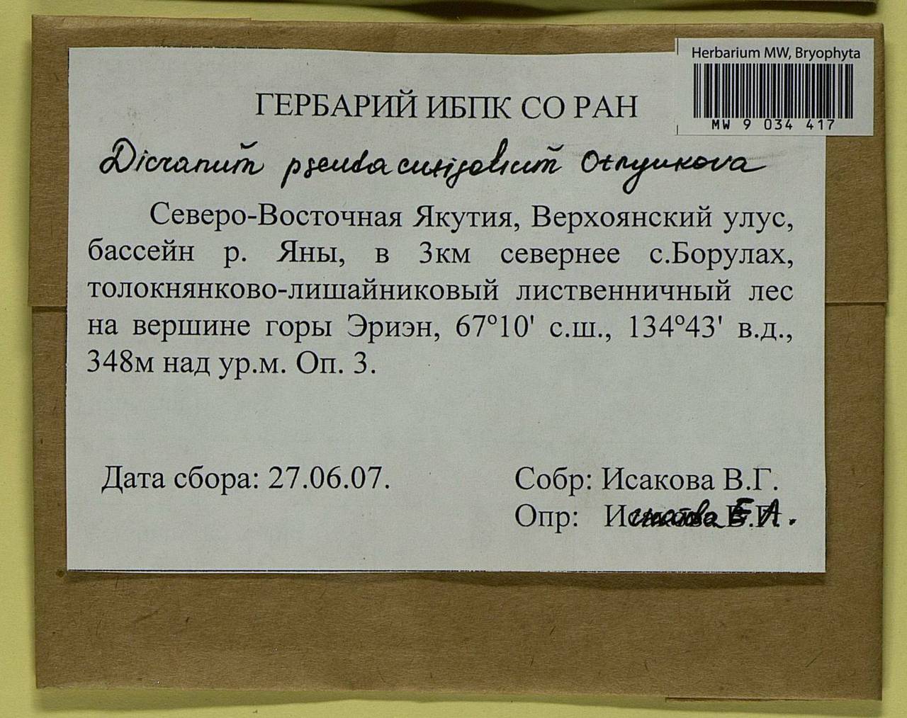 Dicranum fuscescens Turner, Bryophytes, Bryophytes - Yakutia (B19) (Russia)