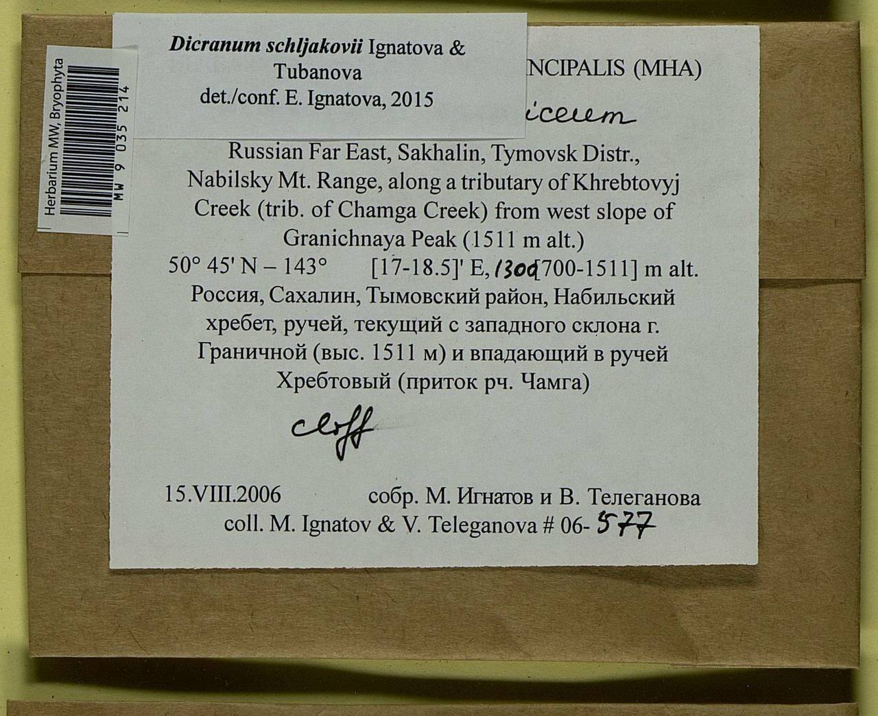 Dicranum schljakovii Ignatova & Tubanova, Bryophytes, Bryophytes - Russian Far East (excl. Chukotka & Kamchatka) (B20) (Russia)