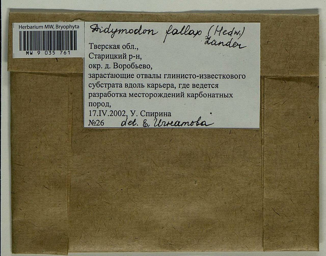 Geheebia fallax (Hedw.) R.H. Zander, Bryophytes, Bryophytes - Middle Russia (B6) (Russia)