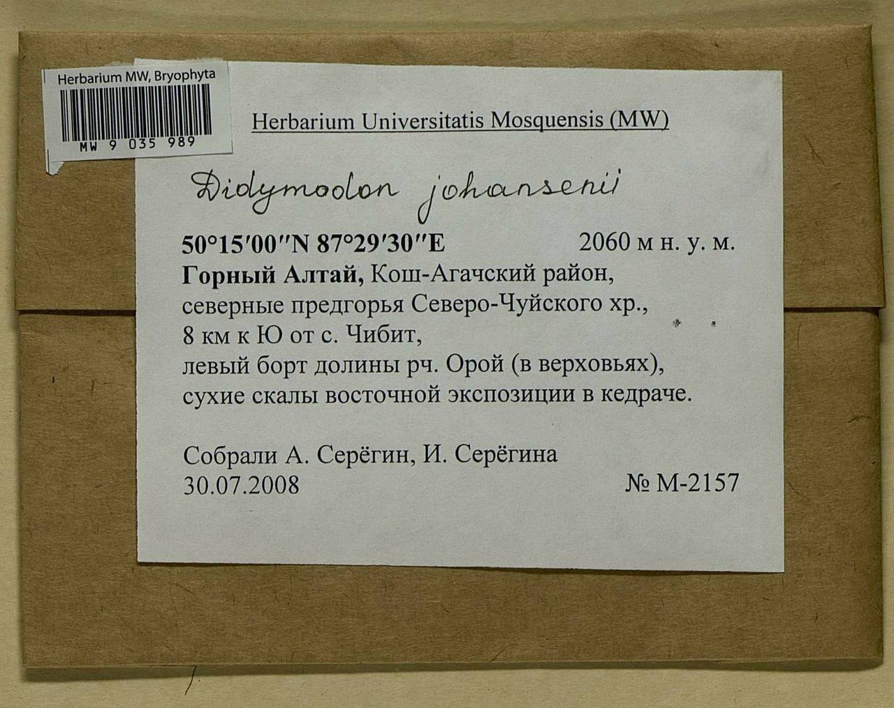 Husnotiella johansenii (R.S. Williams) J.A. Jiménez & M.J. Cano, Bryophytes, Bryophytes - Western Siberia (including Altai) (B15) (Russia)