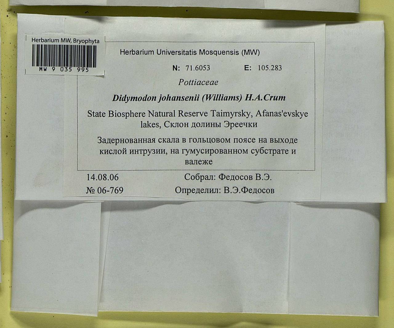 Husnotiella johansenii (R.S. Williams) J.A. Jiménez & M.J. Cano, Bryophytes, Bryophytes - Krasnoyarsk Krai, Tyva & Khakassia (B17) (Russia)