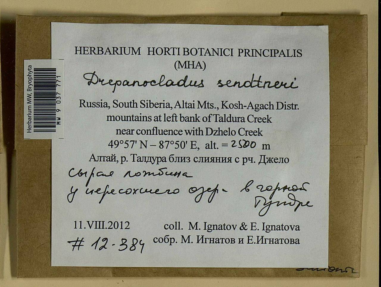 Drepanocladus sendtneri (Schimp. ex H. Müll.) Warnst., Bryophytes, Bryophytes - Western Siberia (including Altai) (B15) (Russia)