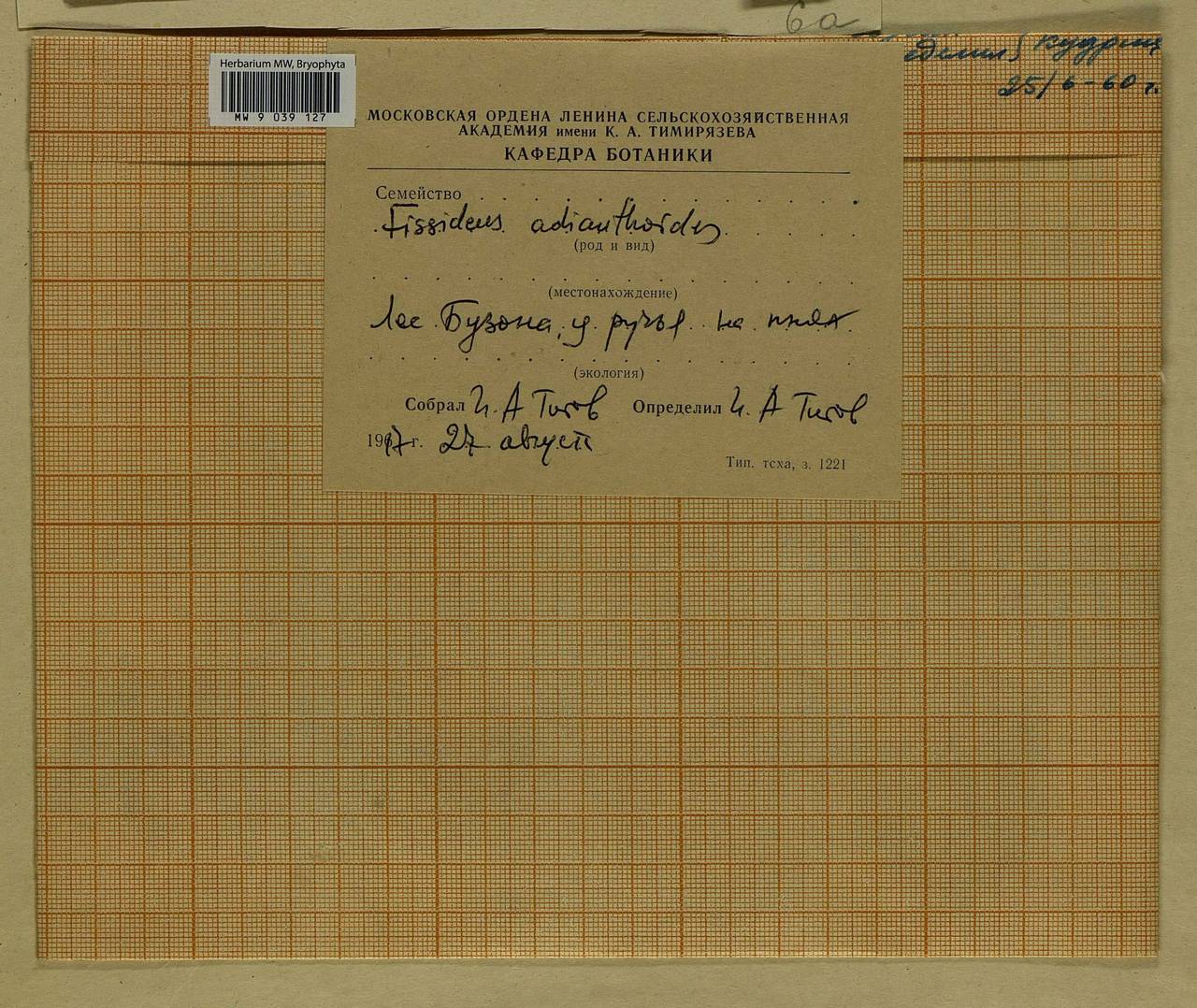 Fissidens adianthoides Hedw., Bryophytes, Bryophytes - Moscow City & Moscow Oblast (B6a) (Russia)