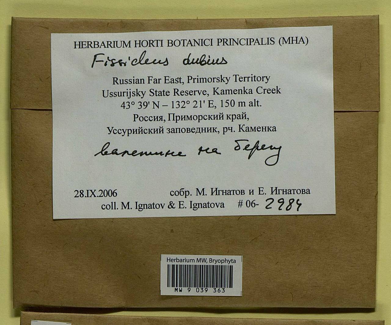 Fissidens dubius P. Beauv., Bryophytes, Bryophytes - Russian Far East (excl. Chukotka & Kamchatka) (B20) (Russia)