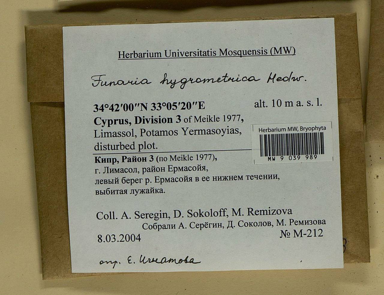 Funaria hygrometrica Hedw., Bryophytes, Bryophytes - Asia (outside ex-Soviet states) (BAs) (Cyprus)