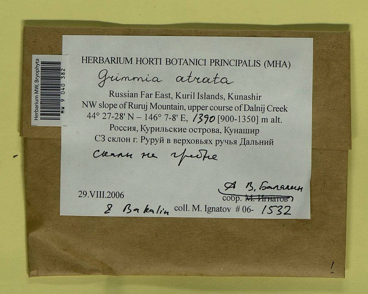 Grimmia atrata Miel. ex Hornsch., Bryophytes, Bryophytes - Russian Far East (excl. Chukotka & Kamchatka) (B20) (Russia)