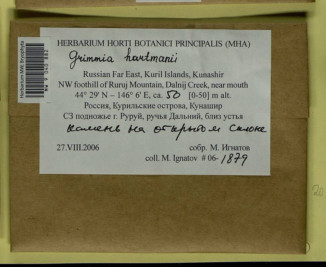 Grimmia hartmanii Schimp., Bryophytes, Bryophytes - Russian Far East (excl. Chukotka & Kamchatka) (B20) (Russia)