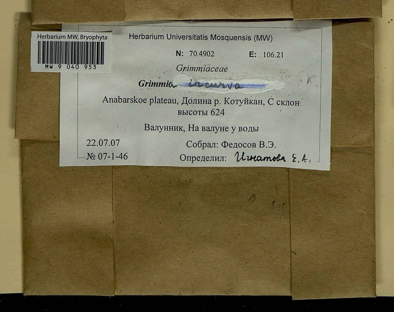 Grimmia incurva Schwägr., Bryophytes, Bryophytes - Krasnoyarsk Krai, Tyva & Khakassia (B17) (Russia)