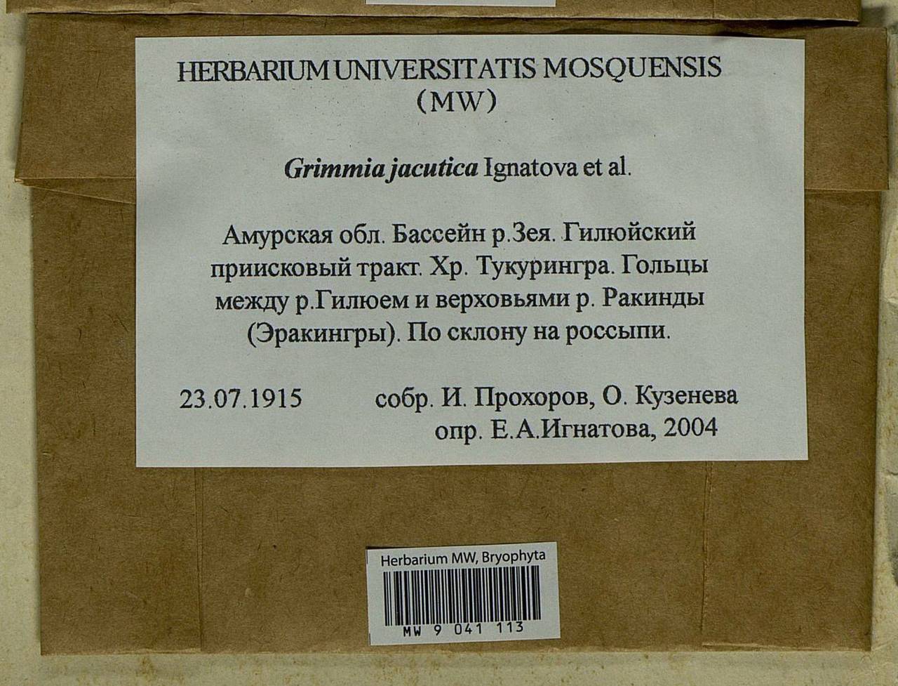 Grimmia jacutica Ignatova, Bedn.-Ochyra, Afonina & J. Muñoz, Bryophytes, Bryophytes - Russian Far East (excl. Chukotka & Kamchatka) (B20) (Russia)