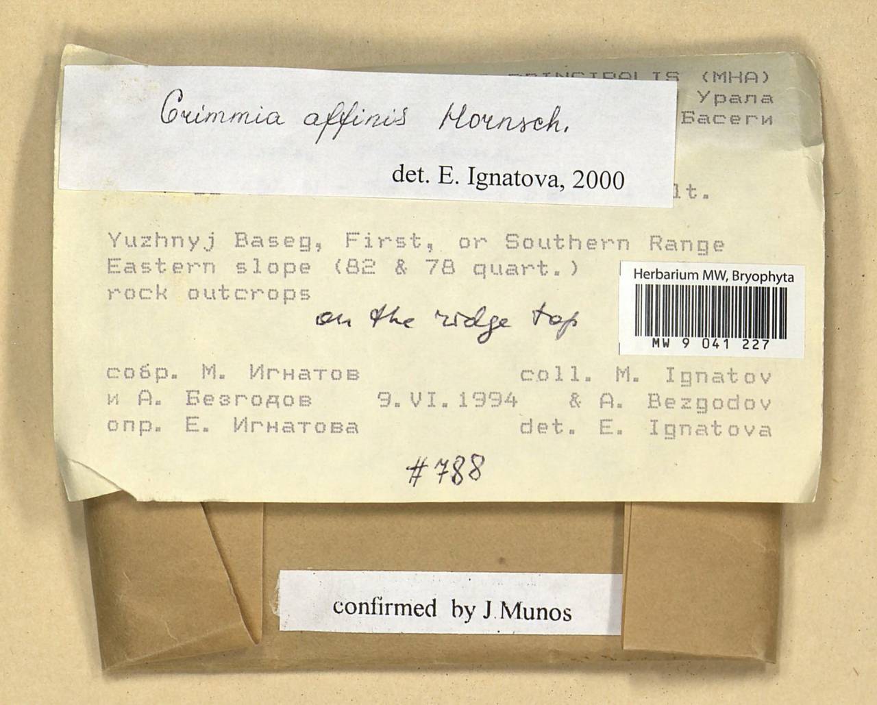 Grimmia longirostris Hook., Bryophytes, Bryophytes - Permsky Krai, Udmurt Republic, Sverdlovsk & Kirov Oblasts (B8) (Russia)