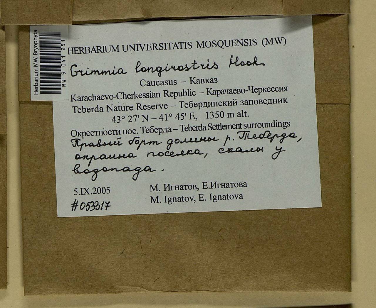 Grimmia longirostris Hook., Bryophytes, Bryophytes - North Caucasus & Ciscaucasia (B12) (Russia)