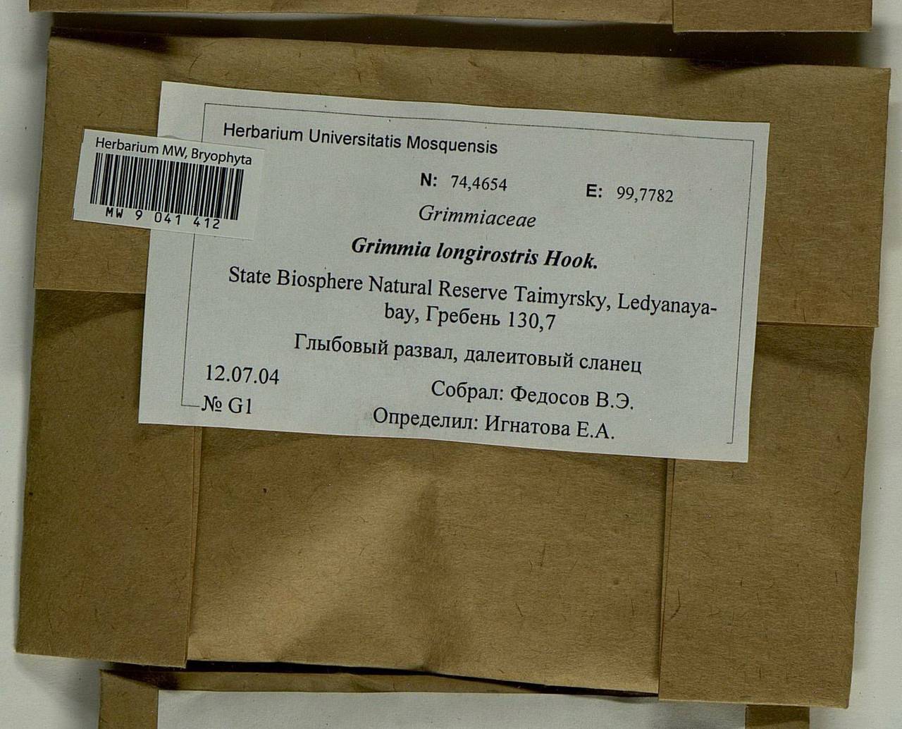 Grimmia longirostris Hook., Bryophytes, Bryophytes - Krasnoyarsk Krai, Tyva & Khakassia (B17) (Russia)