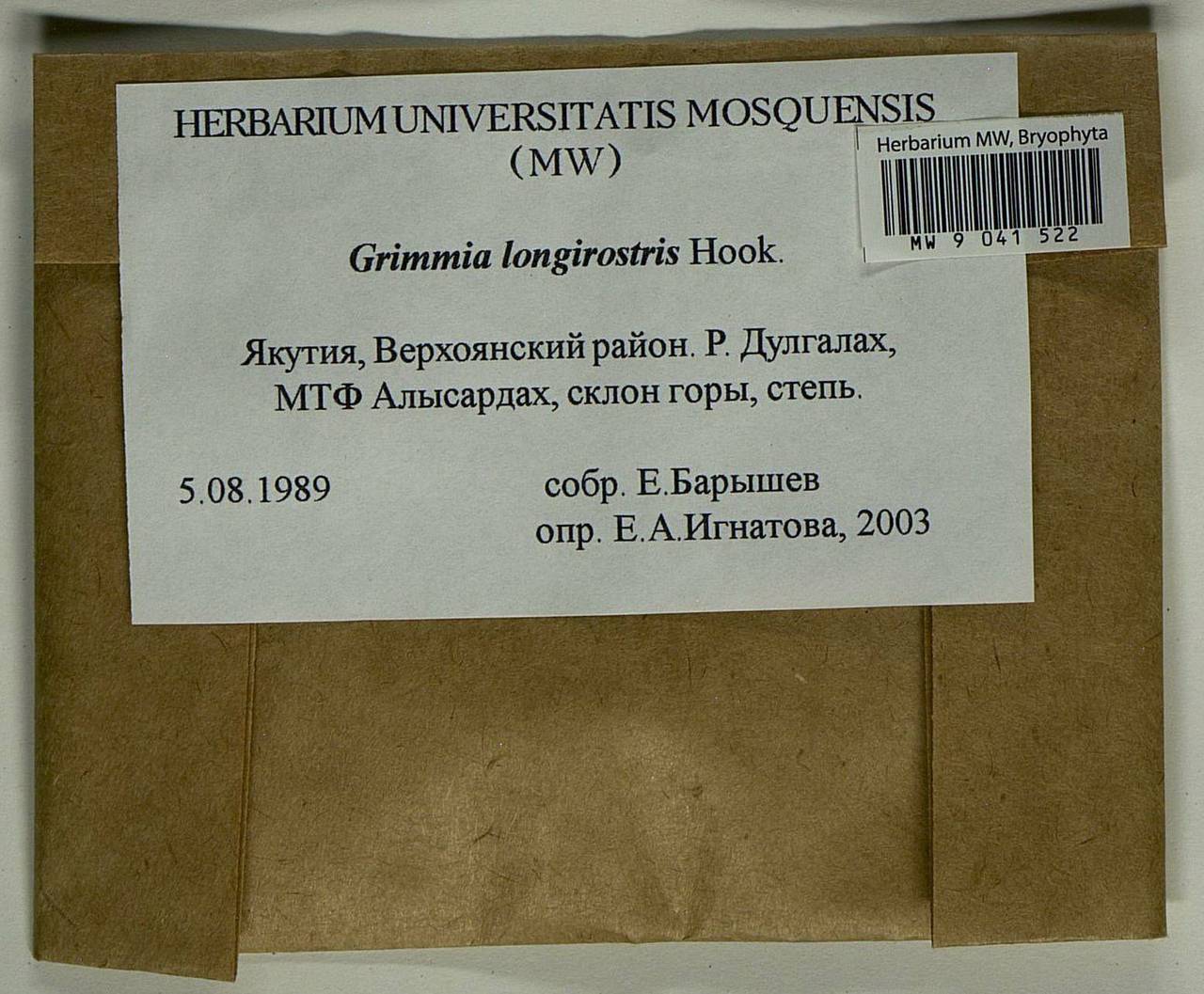 Grimmia longirostris Hook., Bryophytes, Bryophytes - Yakutia (B19) (Russia)