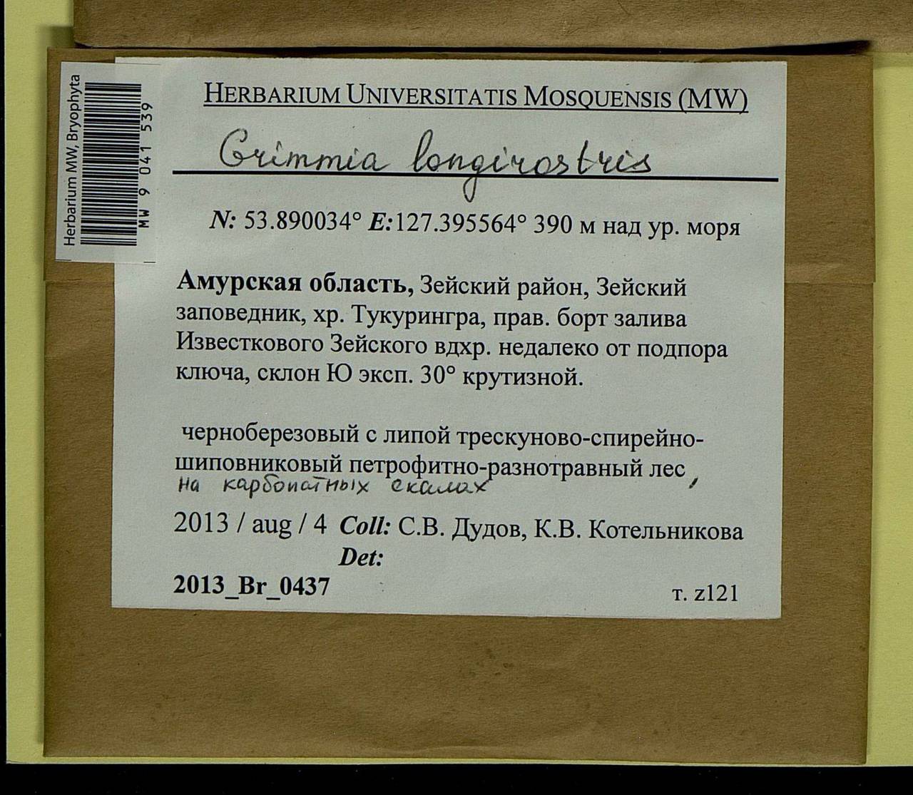 Grimmia longirostris Hook., Bryophytes, Bryophytes - Russian Far East (excl. Chukotka & Kamchatka) (B20) (Russia)