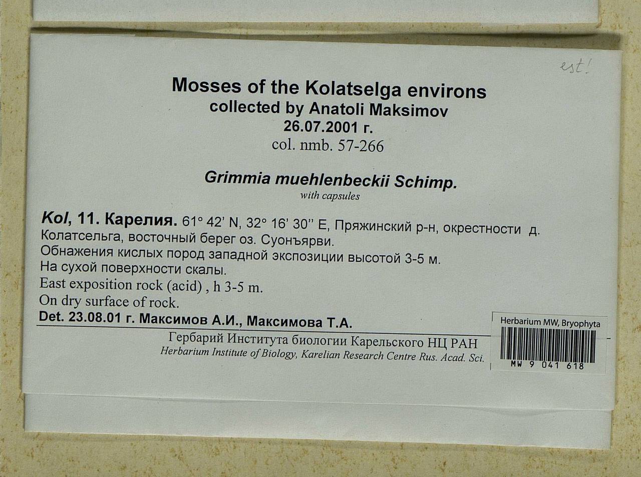 Grimmia muehlenbeckii Schimp., Bryophytes, Bryophytes - Karelia, Leningrad & Murmansk Oblasts (B4) (Russia)