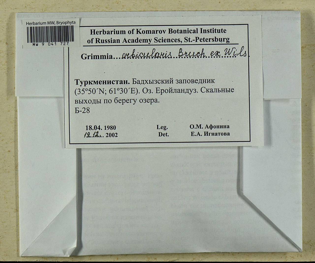 Grimmia orbicularis Bruch ex Wilson, Bryophytes, Bryophytes - Middle Asia & Kazakhstan (B16) (Turkmenistan)