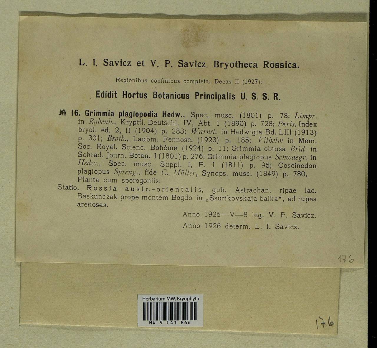 Grimmia plagiopodia Hedw., Bryophytes, Bryophytes - Lower Don & Lower Volga (B11) (Russia)