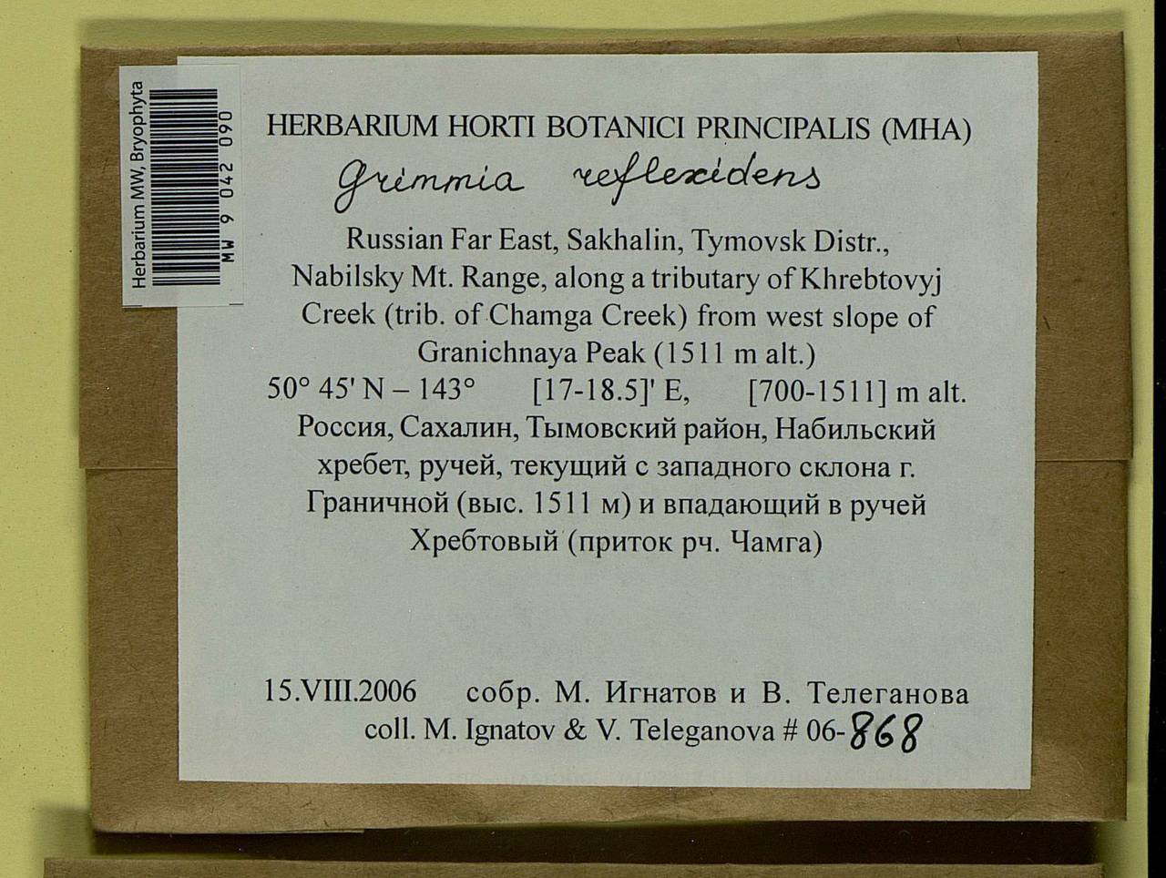 Grimmia reflexidens Müll. Hal., Bryophytes, Bryophytes - Russian Far East (excl. Chukotka & Kamchatka) (B20) (Russia)