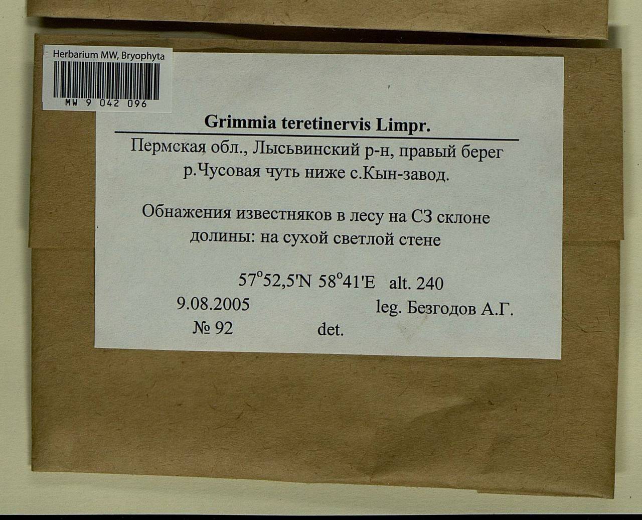 Schistidium teretinerve (Limpr.) Limpr., Bryophytes, Bryophytes - Permsky Krai, Udmurt Republic, Sverdlovsk & Kirov Oblasts (B8) (Russia)