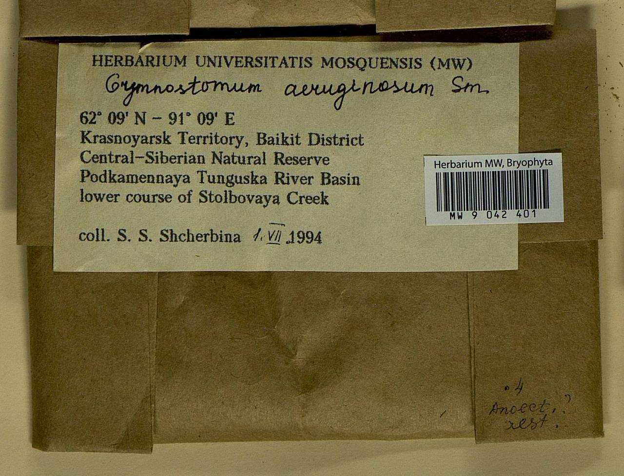 Gymnostomum aeruginosum Sm., Bryophytes, Bryophytes - Krasnoyarsk Krai, Tyva & Khakassia (B17) (Russia)