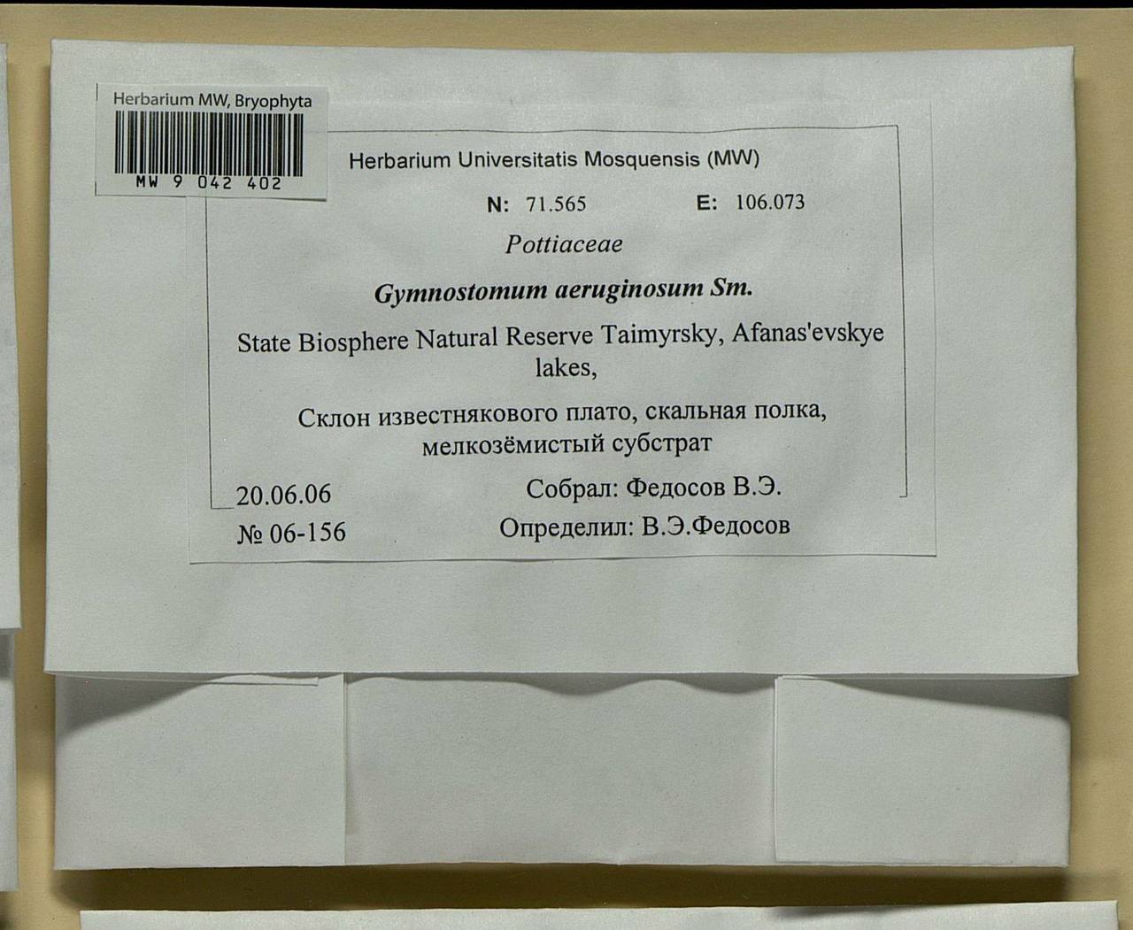 Gymnostomum aeruginosum Sm., Bryophytes, Bryophytes - Krasnoyarsk Krai, Tyva & Khakassia (B17) (Russia)