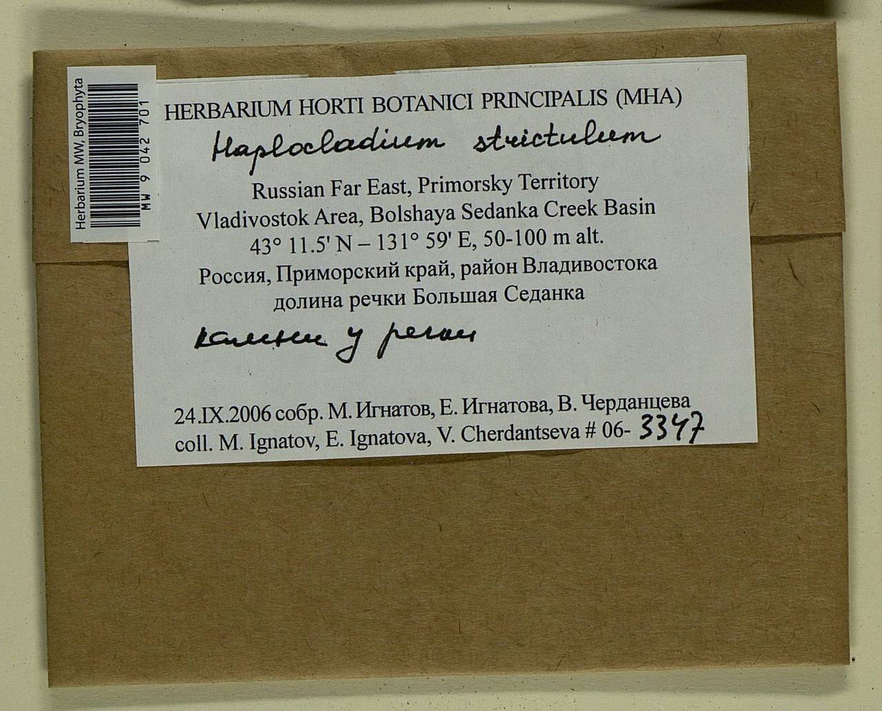 Haplocladium strictulum (Cardot) Reimers, Bryophytes, Bryophytes - Russian Far East (excl. Chukotka & Kamchatka) (B20) (Russia)