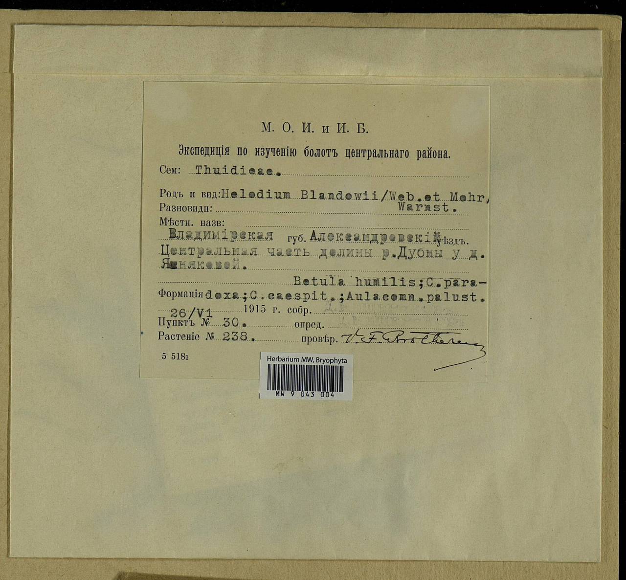 Helodium blandowii (F. Weber & D. Mohr) Warnst., Bryophytes, Bryophytes - Moscow City & Moscow Oblast (B6a) (Russia)