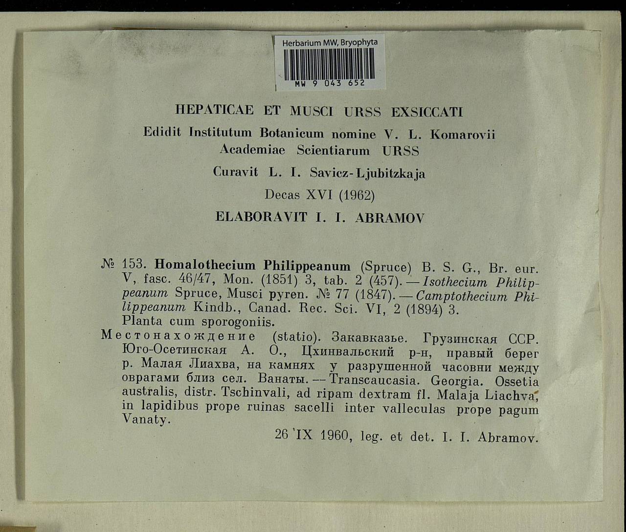 Homalothecium philippeanum (Spruce) Schimp., Bryophytes, Bryophytes - Transcaucasia (B13) (South Ossetia)