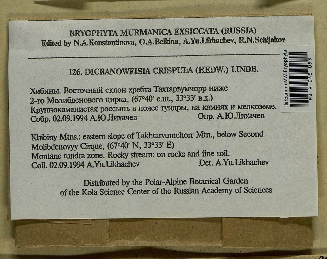 Hymenoloma crispulum (Hedw.) Ochyra, Bryophytes, Bryophytes - Karelia, Leningrad & Murmansk Oblasts (B4) (Russia)