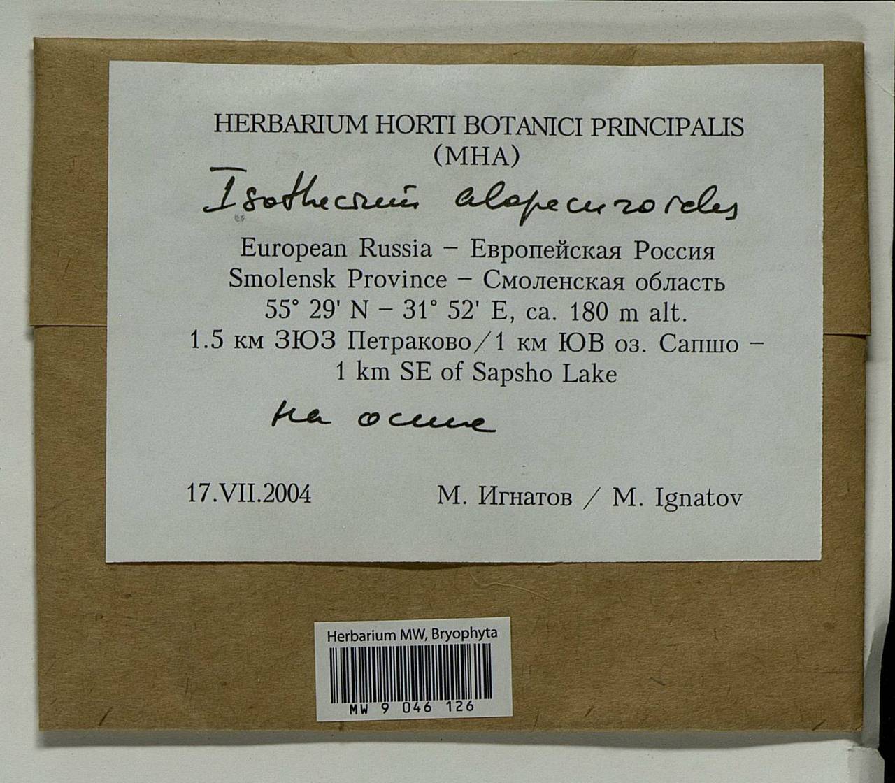 Isothecium alopecuroides (Lam. ex Dubois) Isov., Bryophytes, Bryophytes - Middle Russia (B6) (Russia)