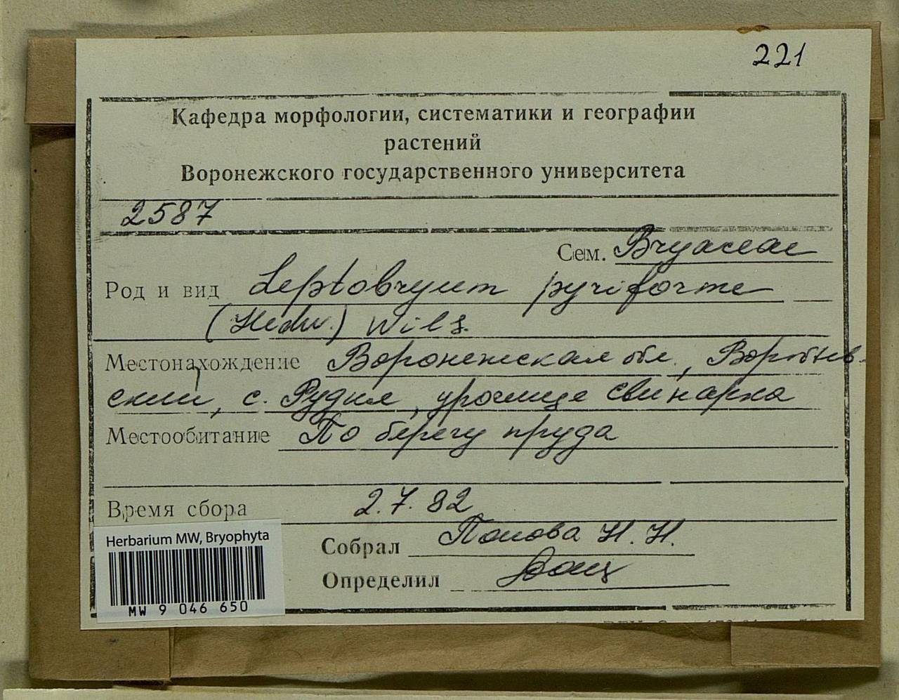 Leptobryum pyriforme (Hedw.) Wilson, Bryophytes, Bryophytes - Central forest-and-steppe region (B10) (Russia)