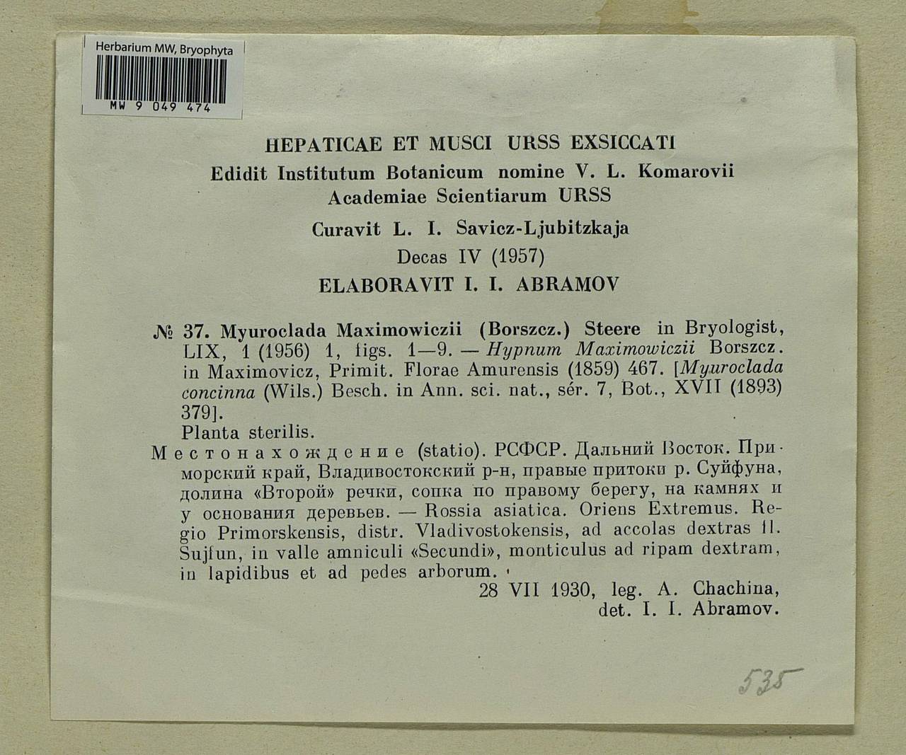 Myuroclada maximowiczii (G.G. Borshch.) Steere & W.B. Schofield, Bryophytes, Bryophytes - Russian Far East (excl. Chukotka & Kamchatka) (B20) (Russia)