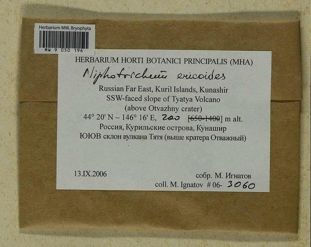 Niphotrichum ericoides (Brid.) Bedn.-Ochyra & Ochyra, Bryophytes, Bryophytes - Russian Far East (excl. Chukotka & Kamchatka) (B20) (Russia)