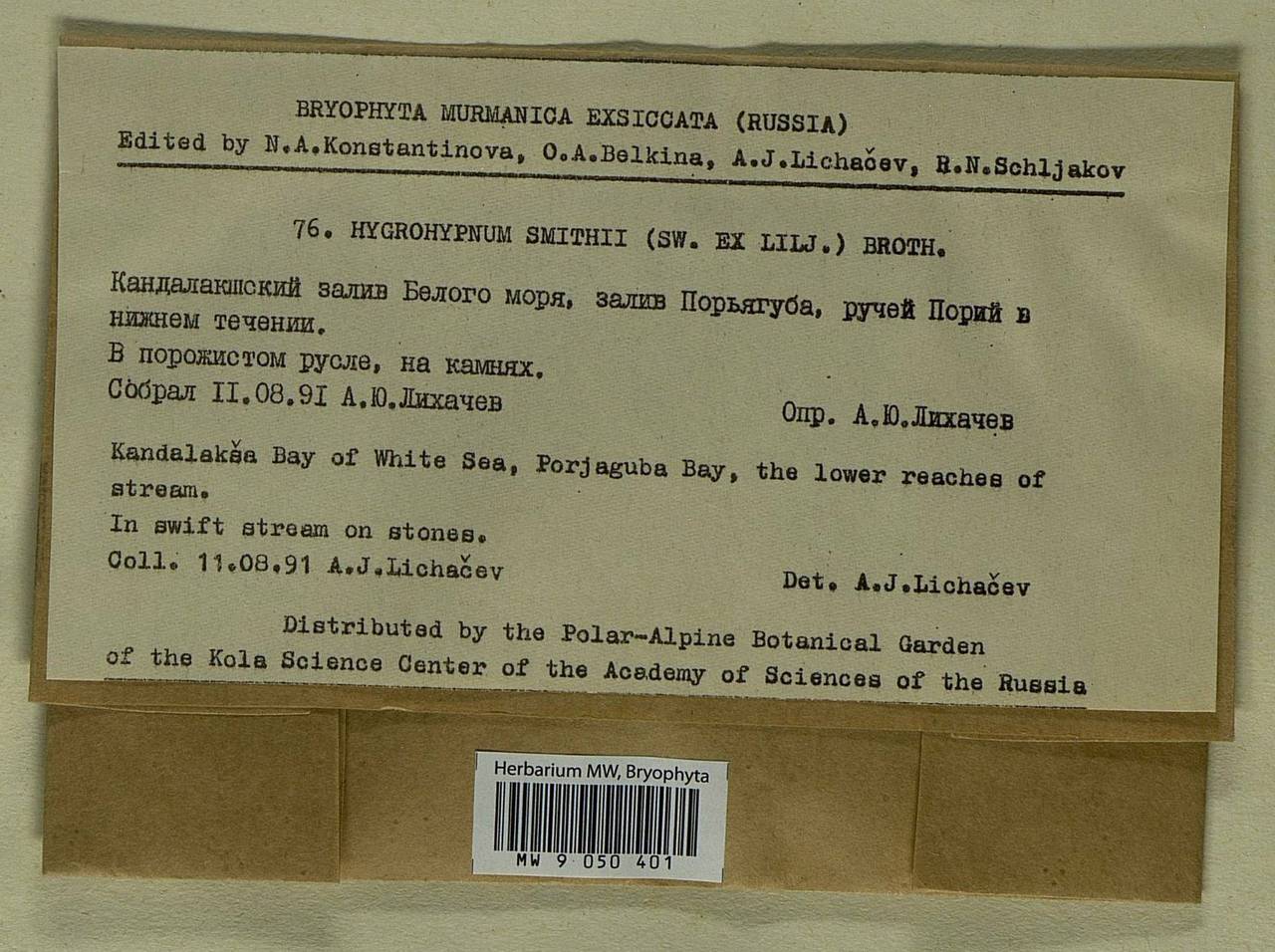 Platyhypnum smithii (Sw.) Ochyra, Bryophytes, Bryophytes - Karelia, Leningrad & Murmansk Oblasts (B4) (Russia)