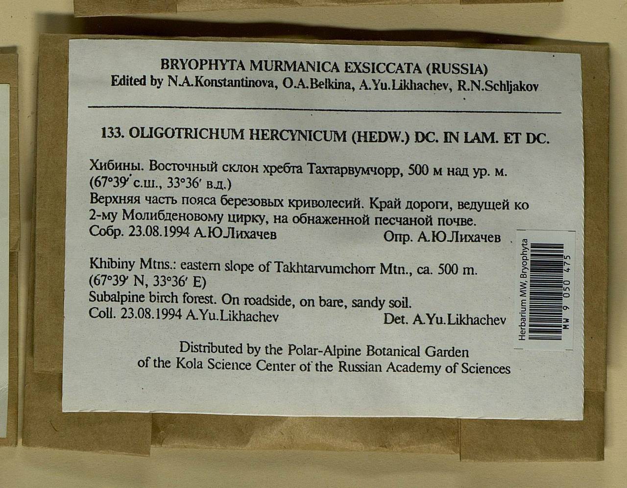 Oligotrichum hercynicum (Hedw.) DC., Bryophytes, Bryophytes - Karelia, Leningrad & Murmansk Oblasts (B4) (Russia)