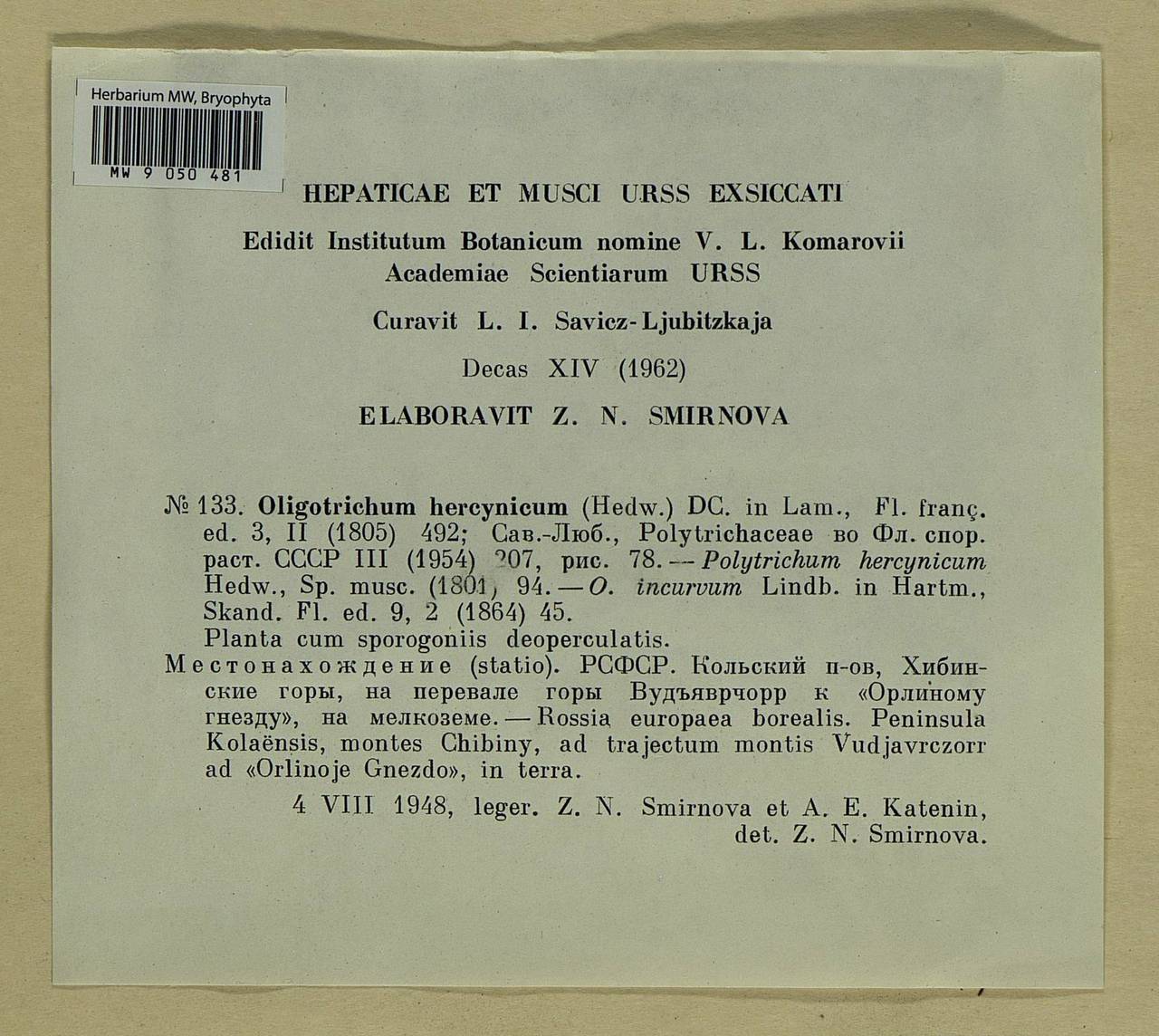 Oligotrichum hercynicum (Hedw.) DC., Bryophytes, Bryophytes - Karelia, Leningrad & Murmansk Oblasts (B4) (Russia)