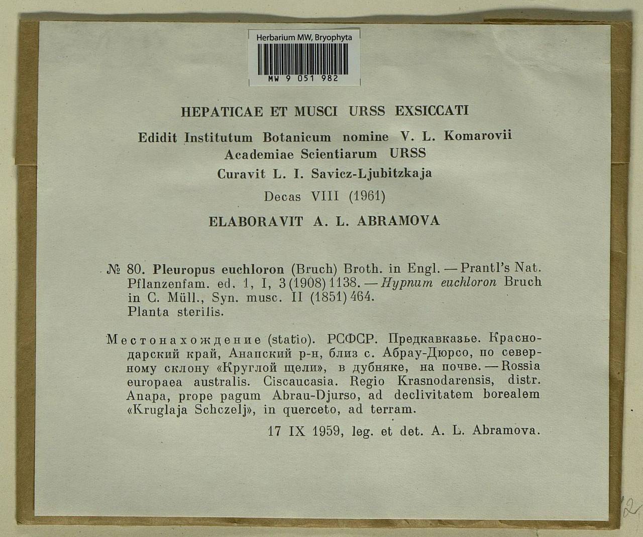 Palamocladium euchloron (Bruch ex Müll. Hal.) Wijk & Margad., Bryophytes, Bryophytes - North Caucasus & Ciscaucasia (B12) (Russia)