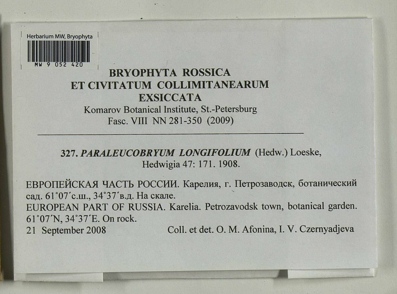 Paraleucobryum longifolium (Ehrh. ex Hedw.) Loeske, Bryophytes, Bryophytes - Karelia, Leningrad & Murmansk Oblasts (B4) (Russia)