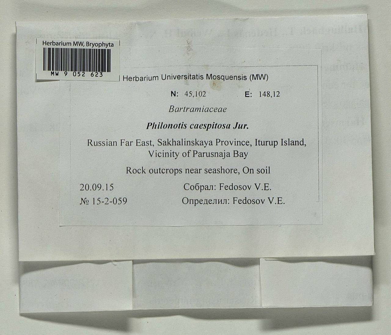 Philonotis caespitosa Jur., Bryophytes, Bryophytes - Russian Far East (excl. Chukotka & Kamchatka) (B20) (Russia)