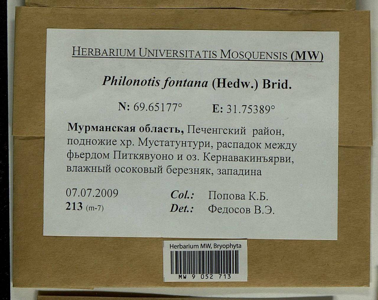 Philonotis fontana (Hedw.) Brid., Bryophytes, Bryophytes - Karelia, Leningrad & Murmansk Oblasts (B4) (Russia)