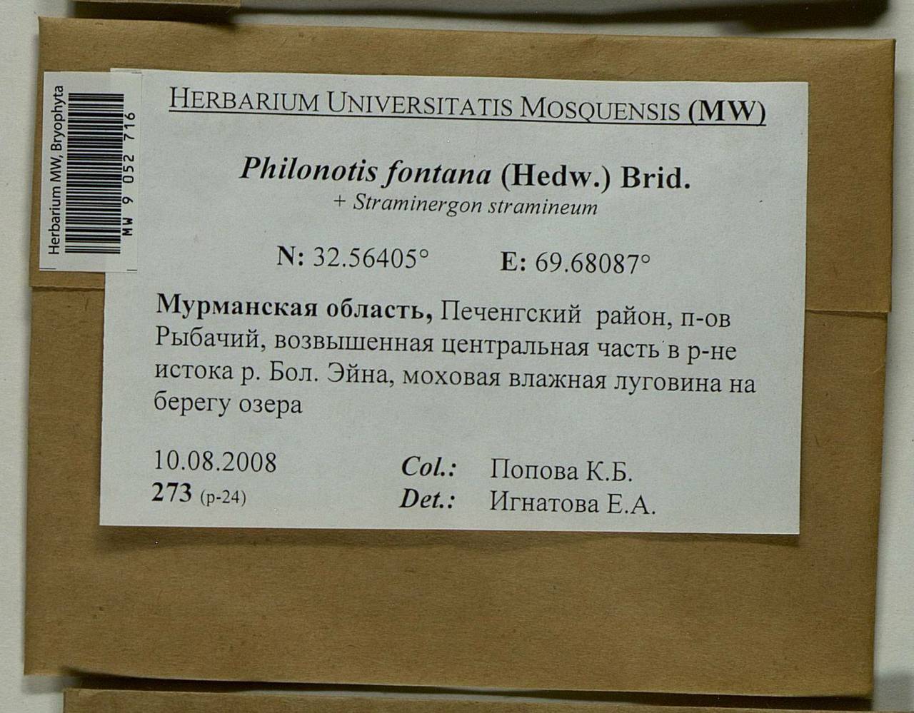 Philonotis fontana (Hedw.) Brid., Bryophytes, Bryophytes - Karelia, Leningrad & Murmansk Oblasts (B4) (Russia)