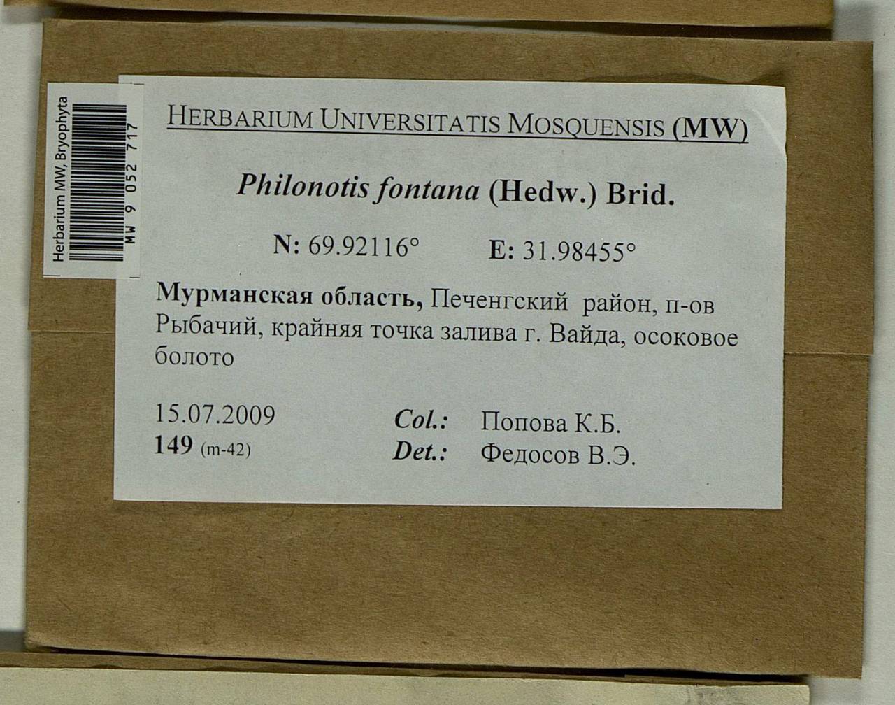 Philonotis fontana (Hedw.) Brid., Bryophytes, Bryophytes - Karelia, Leningrad & Murmansk Oblasts (B4) (Russia)