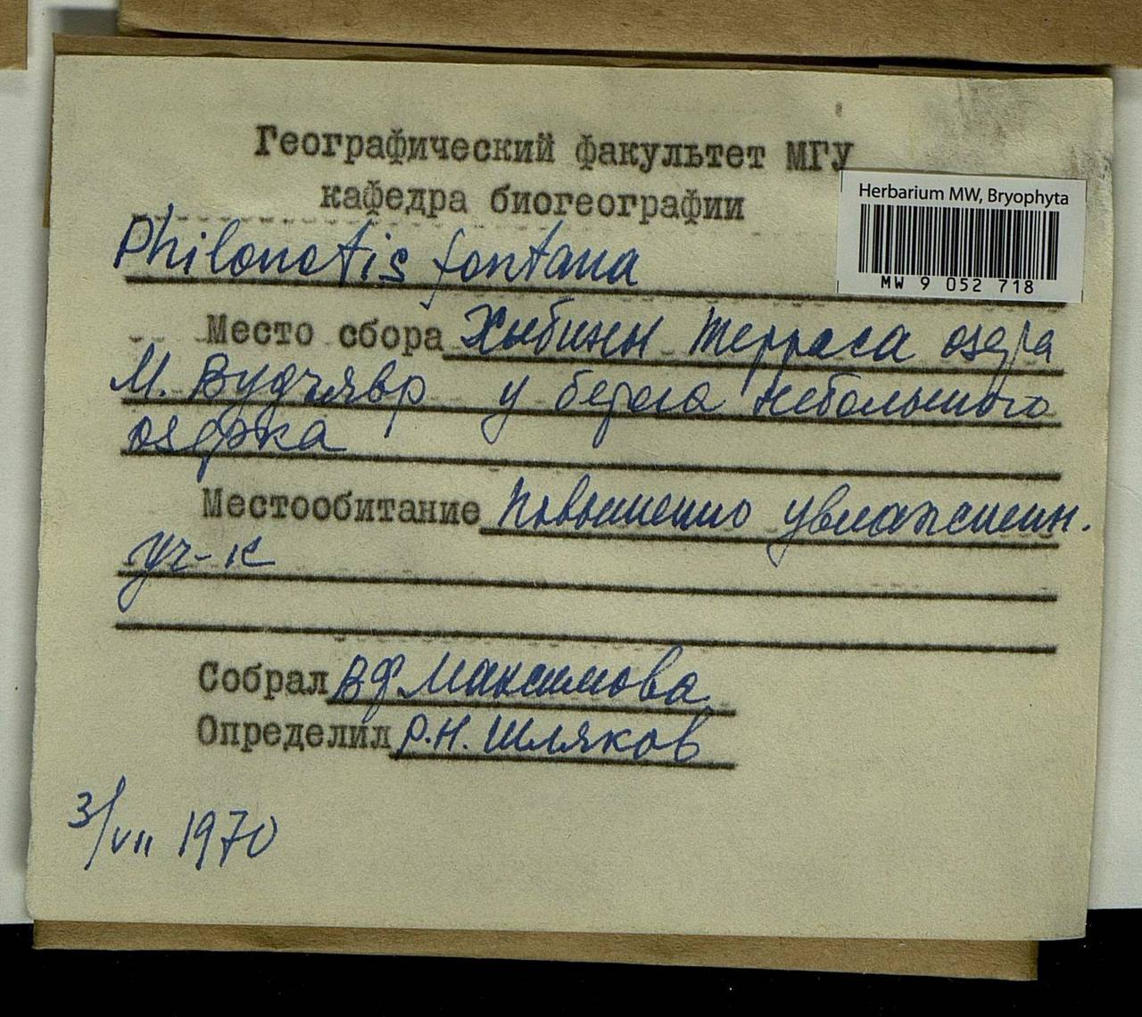 Philonotis fontana (Hedw.) Brid., Bryophytes, Bryophytes - Karelia, Leningrad & Murmansk Oblasts (B4) (Russia)