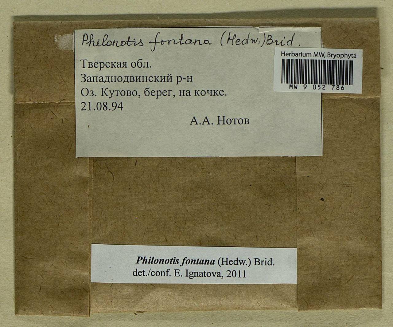 Philonotis fontana (Hedw.) Brid., Bryophytes, Bryophytes - Middle Russia (B6) (Russia)