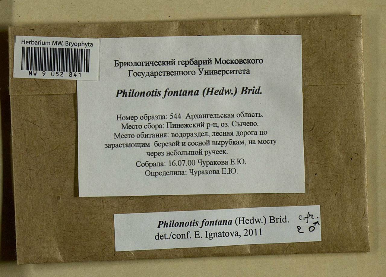 Philonotis fontana (Hedw.) Brid., Bryophytes, Bryophytes - European North East (B7) (Russia)