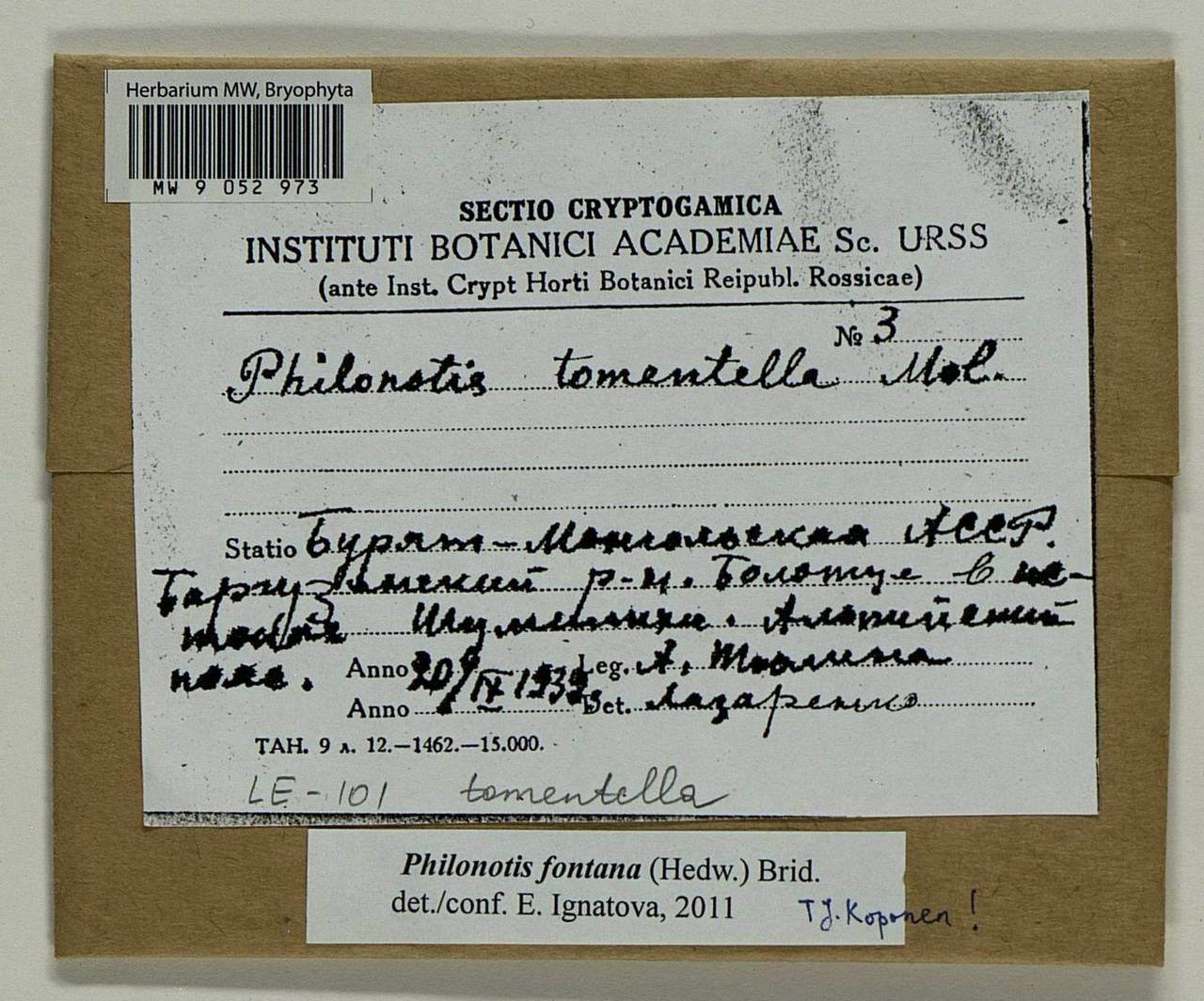 Philonotis fontana (Hedw.) Brid., Bryophytes, Bryophytes - Baikal & Transbaikal regions (B18) (Russia)