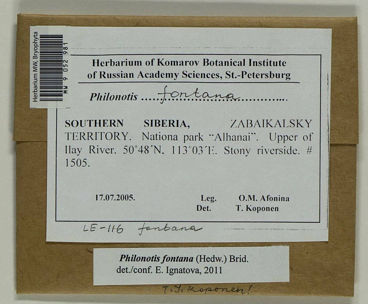 Philonotis fontana (Hedw.) Brid., Bryophytes, Bryophytes - Baikal & Transbaikal regions (B18) (Russia)