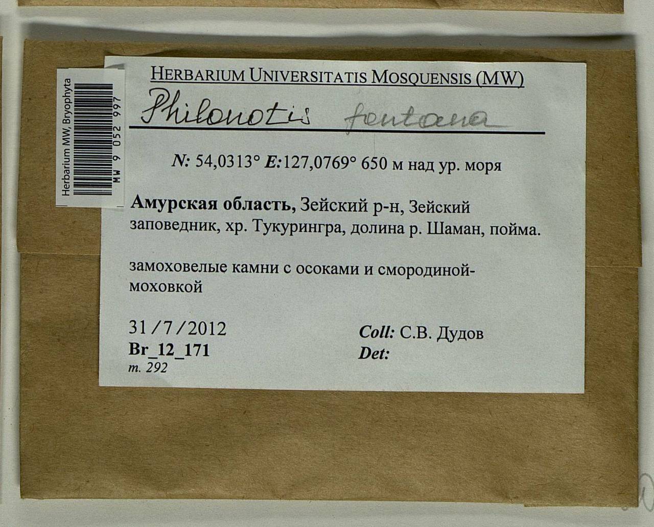 Philonotis fontana (Hedw.) Brid., Bryophytes, Bryophytes - Russian Far East (excl. Chukotka & Kamchatka) (B20) (Russia)