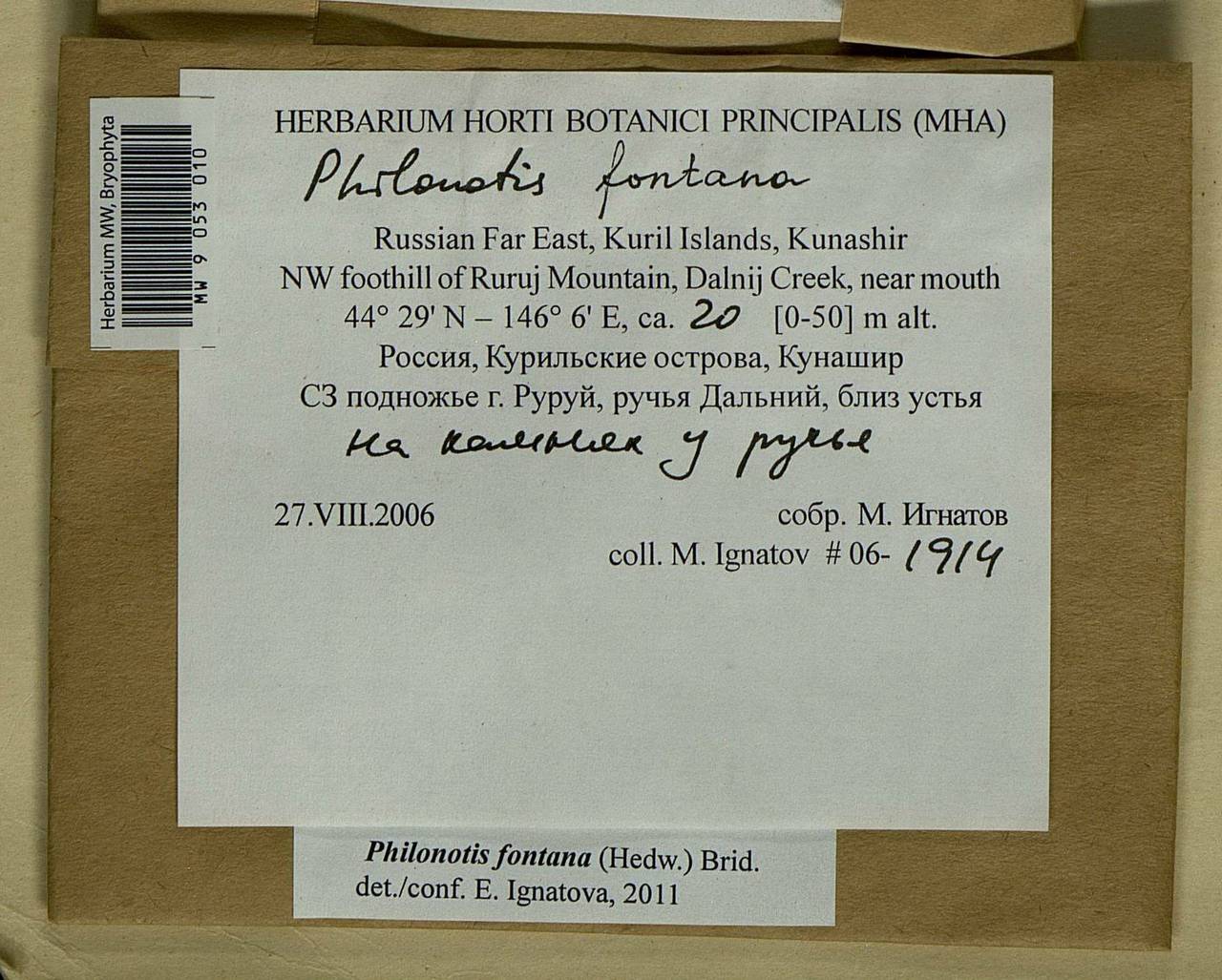 Philonotis fontana (Hedw.) Brid., Bryophytes, Bryophytes - Russian Far East (excl. Chukotka & Kamchatka) (B20) (Russia)