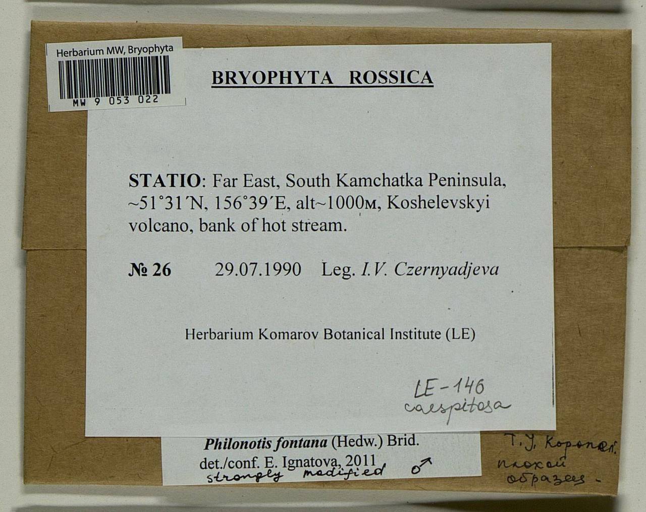 Philonotis fontana (Hedw.) Brid., Bryophytes, Bryophytes - Chukotka & Kamchatka (B21) (Russia)